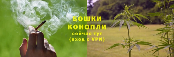 PSILOCYBIN Магас