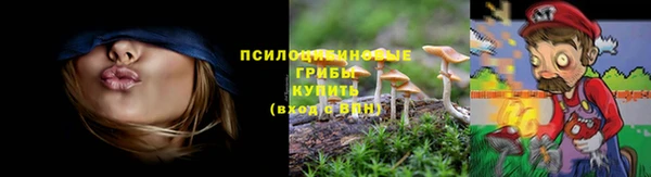 COCAINE Майский
