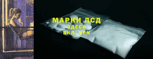 PSILOCYBIN Магас