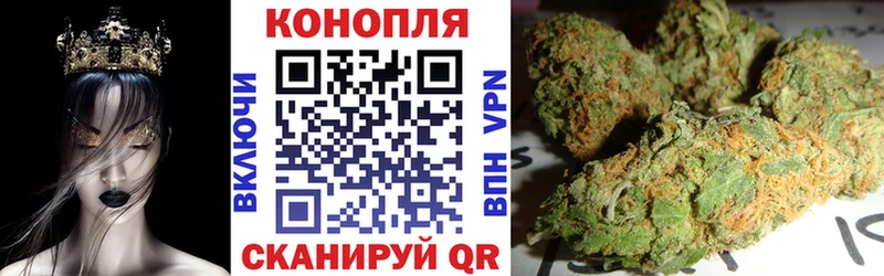 Бошки Шишки планчик  Купить где  Невель 